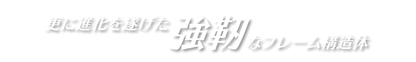 強靭なフレーム構造体